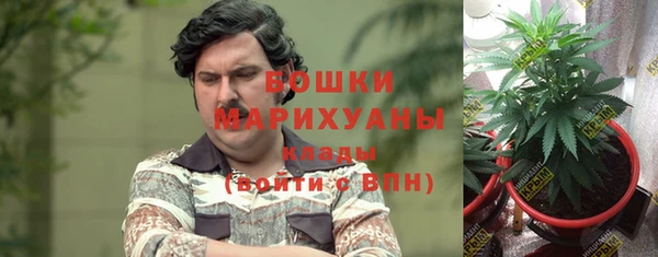ПСИЛОЦИБИНОВЫЕ ГРИБЫ Михайловка