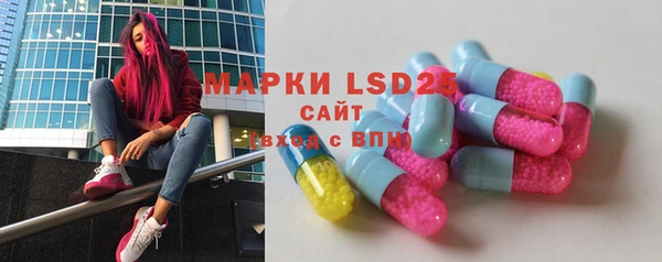 хмурый Михайловск