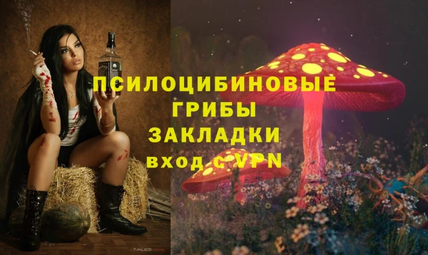ПСИЛОЦИБИНОВЫЕ ГРИБЫ Михайловка