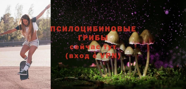 прущий лед Мегион