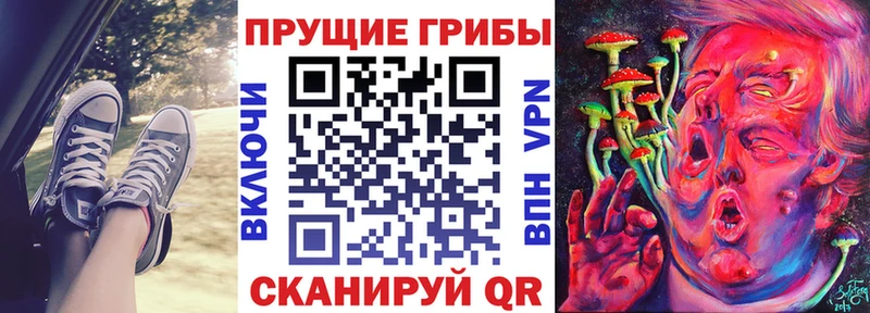 Купить  Ардон  Галлюциногенные грибы Cubensis 